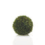 Boxwood Sphere 10 in