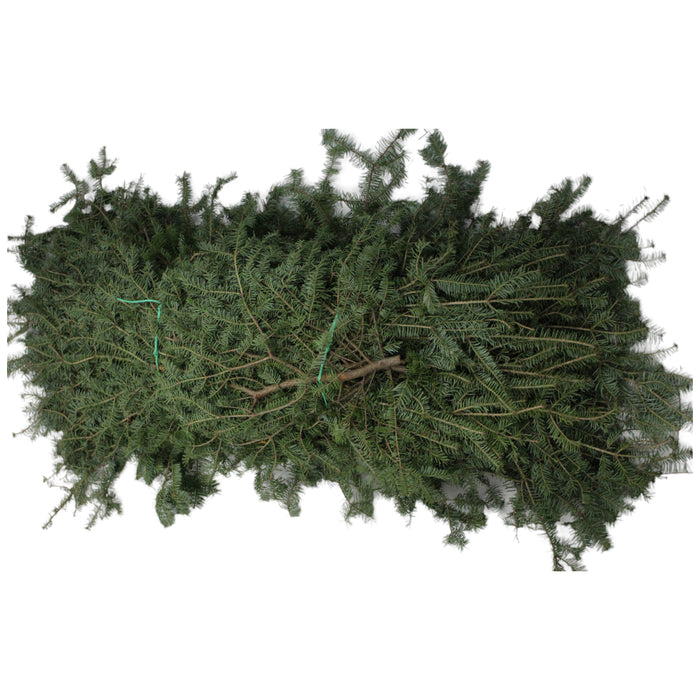 Balsam Bale - Northern Greens