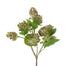 12 In Hop Spray - Green