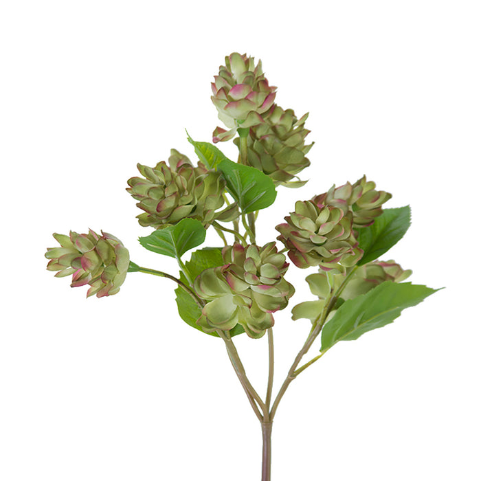 12 In Hop Spray - Green
