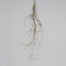 44"L Hw Foam Mossed Twig Garland - Green