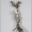 Squirrel On Branch