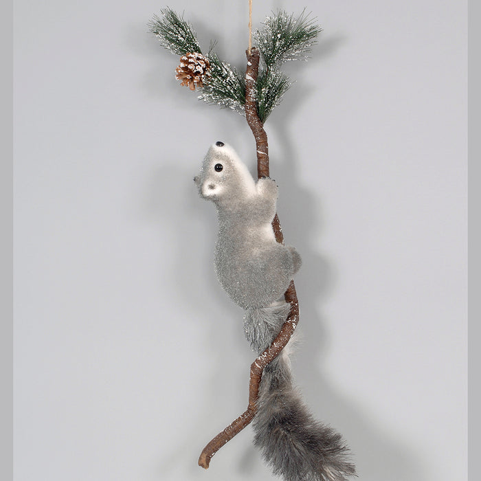 Squirrel On Branch