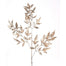 32" Nandina Glitter Stem - Champagne