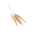 Dried Pampas Grass