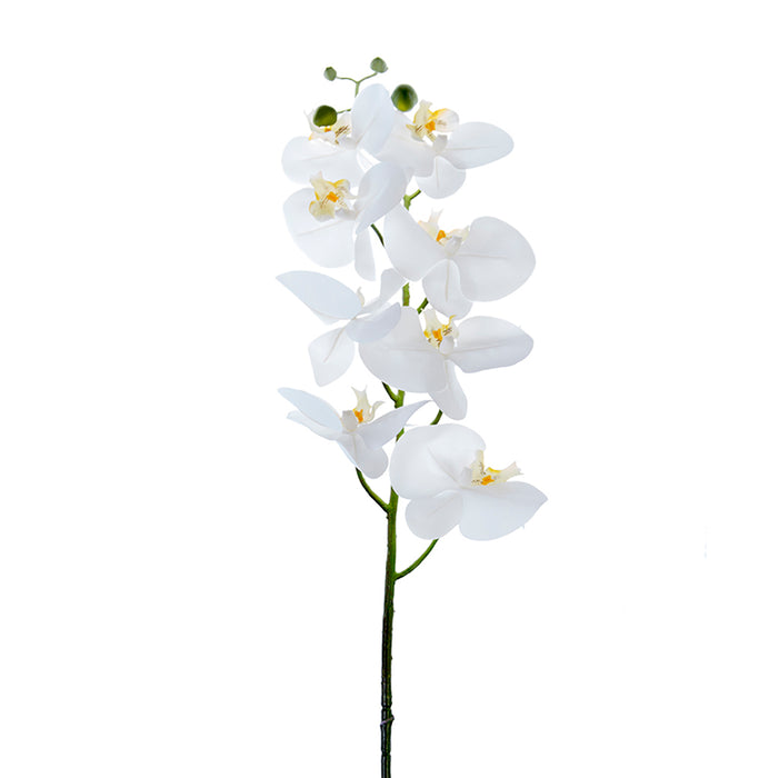 44 inch Phalaenopsis Spray