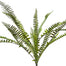 20 in Boston Fern Bush Green
