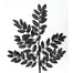 Honey Locust Glitter Spray 22''- Black