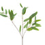 Silk Eucalyptus
