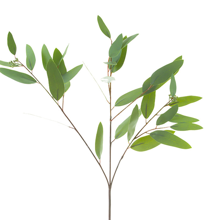 Silk Eucalyptus