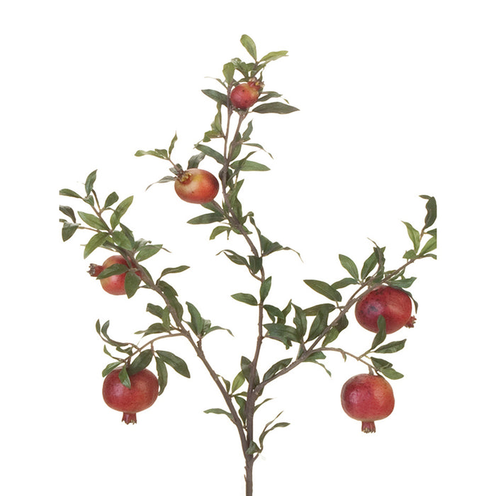 32 in Pomegrante Spray