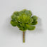 7"Dia X 8"H Succulent Pick - Green
