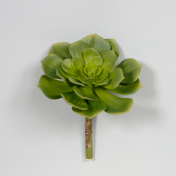 7"Dia X 8"H Succulent Pick - Green