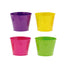 4 Assorted Citrus Pot Baskets - 7 In Round