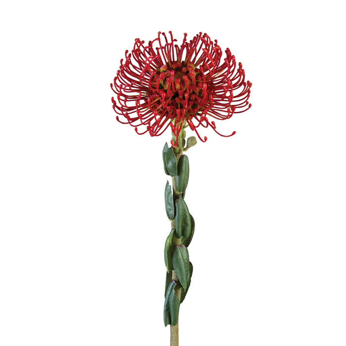 25 In Pincushion Red