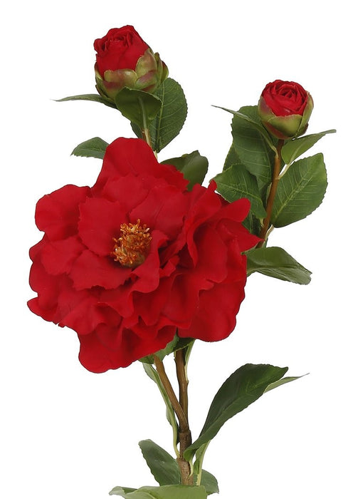28.5" Camellia - Red