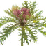 9" Ornamental Kale Spray - Fuchsia/Green