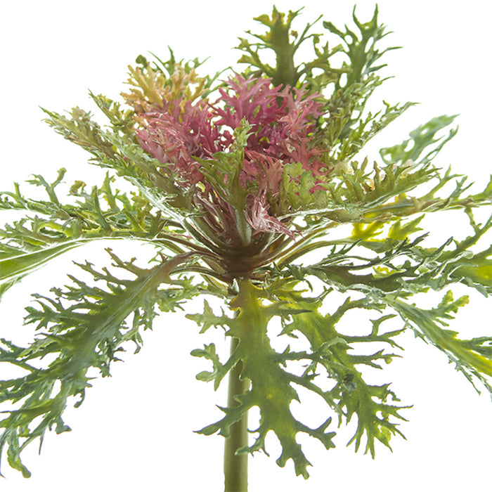 9" Ornamental Kale Spray - Fuchsia/Green