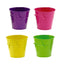 4 Assorted Citrus Pot Basket - 4.5 In Round
