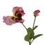 9 in Pansy Spray
